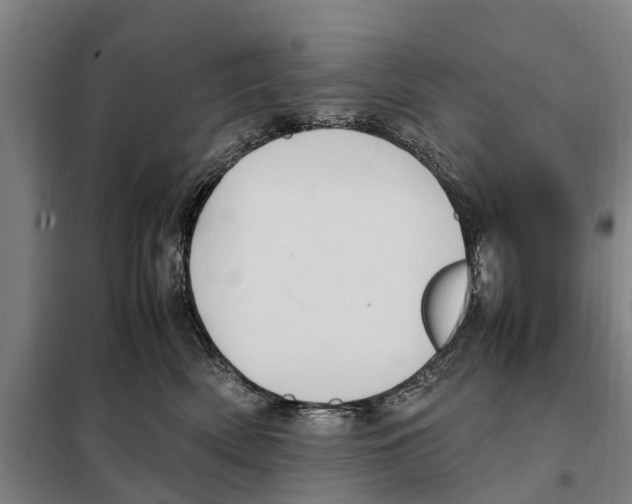 X0000098000522200804211135
