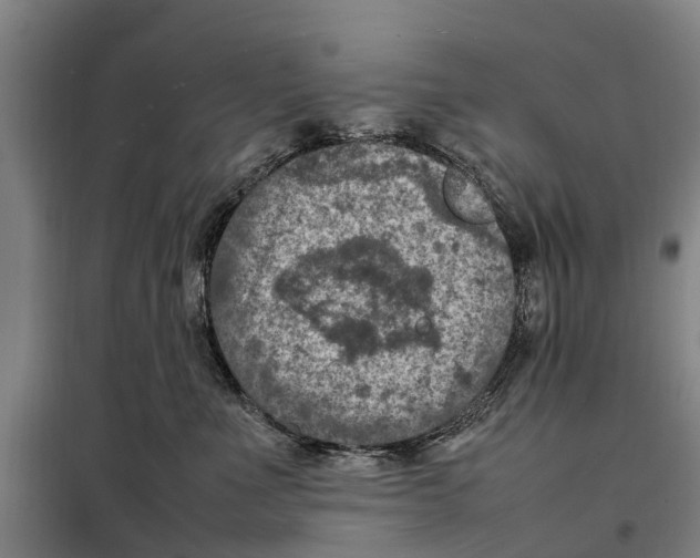 X0000098000523200804211135