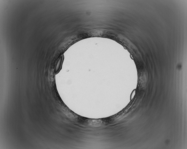X0000098000525200804211134