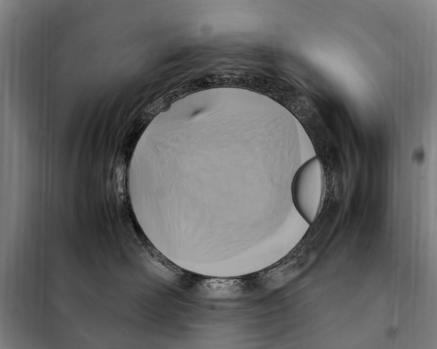 X0000098000526200804211134