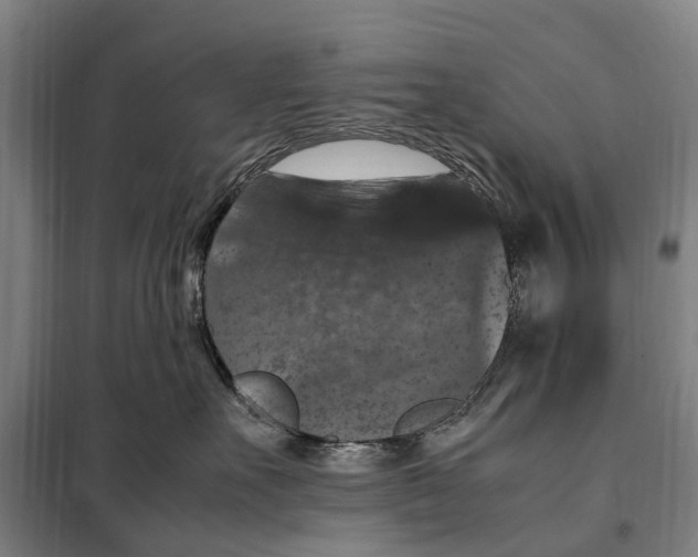 X0000098000527200804211134