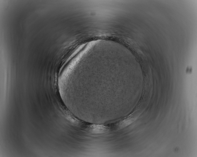 X0000098000528200804211134