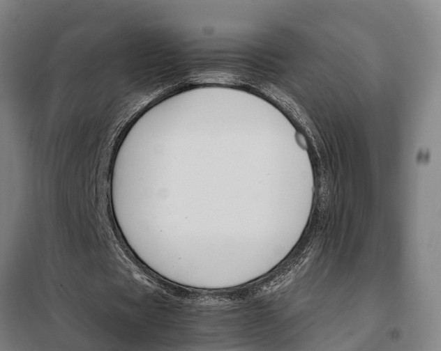 X0000098000529200804211134