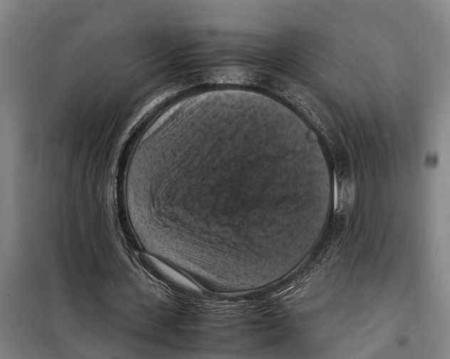 X0000098000531200804211134