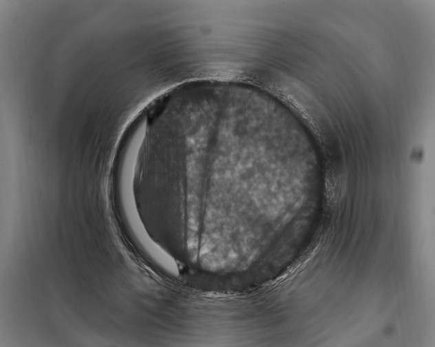 X0000098000532200804211134