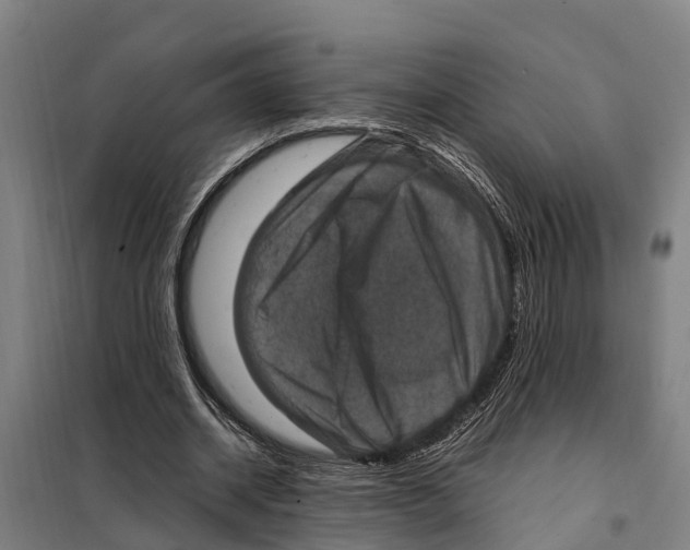 X0000098000534200804211134