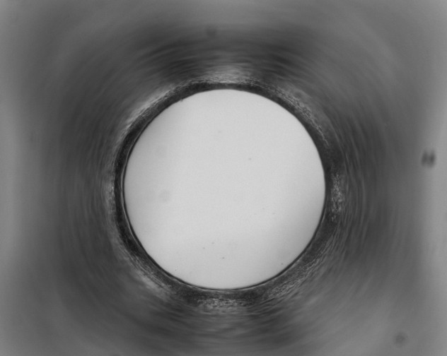 X0000098000535200804211134