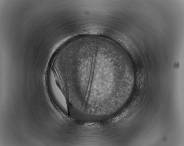 X0000098000536200804211134