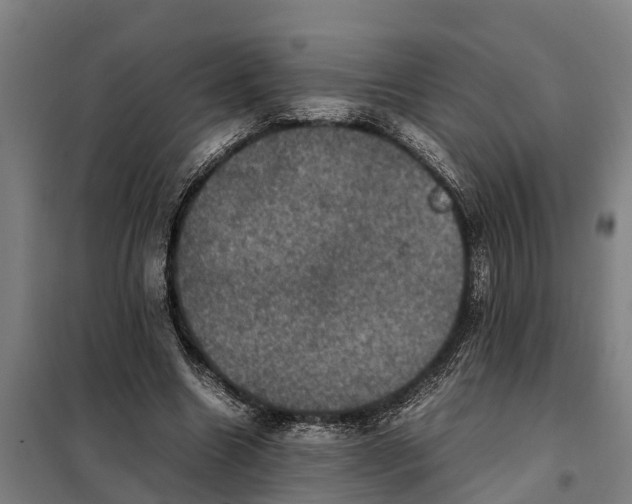 X0000098000538200804211134