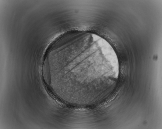 X0000098000540200804211134