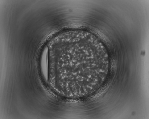 X0000098000542200804211134