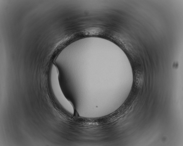 X0000098000543200804211134