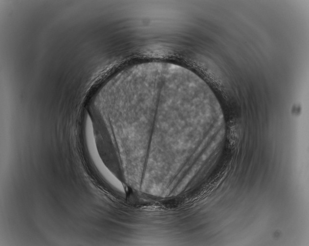 X0000098000544200804211134