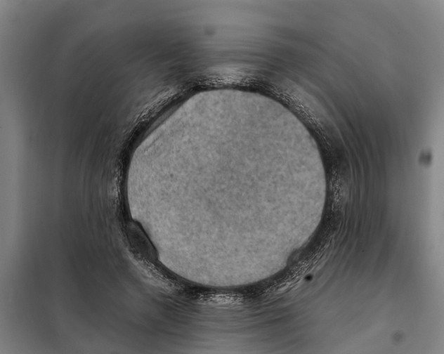 X0000098000546200804211134