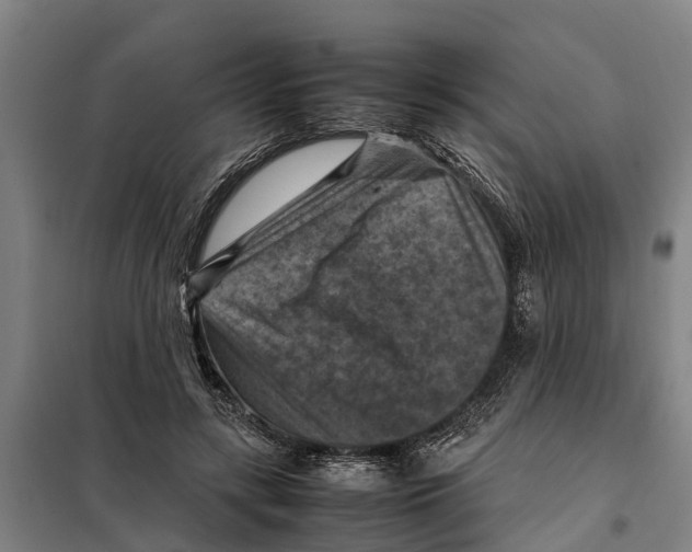 X0000098000547200804211134
