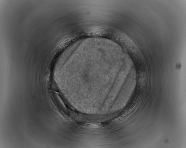 X0000098000548200804211134