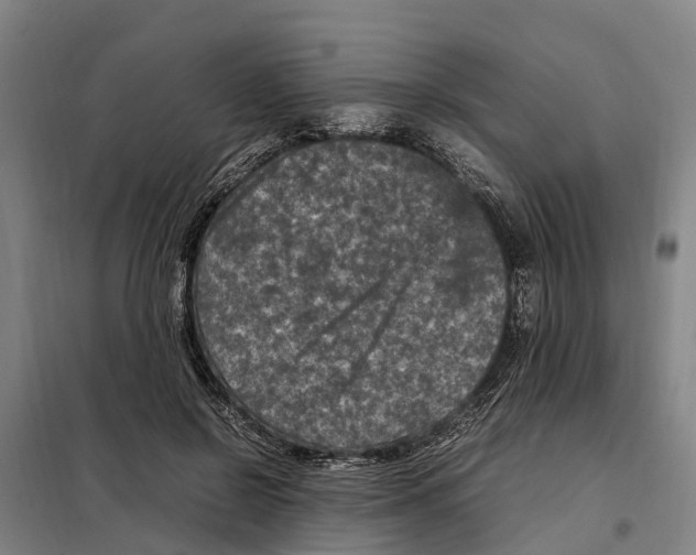 X0000098000550200804211134