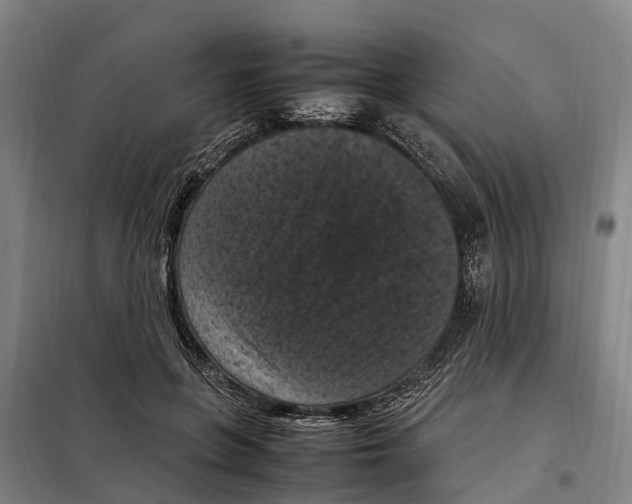 X0000098000551200804211134