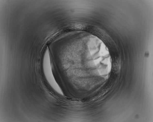 X0000098000552200804211134