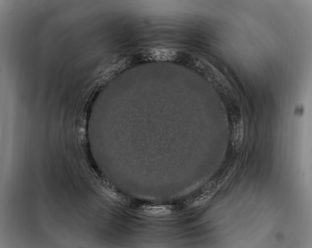 X0000098000553200804211134