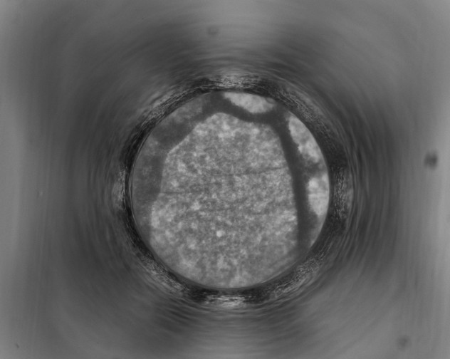 X0000098000554200804211134