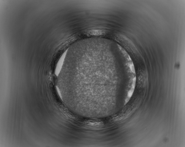 X0000098000555200804211134