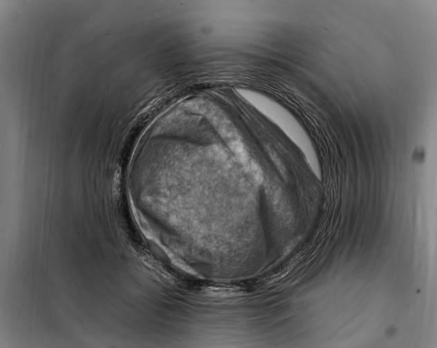 X0000098000556200804211134