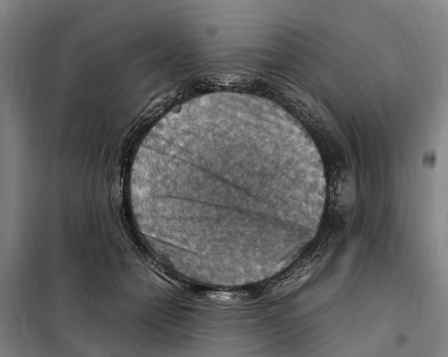 X0000098000558200804211134
