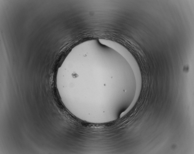 X0000098000560200804211134