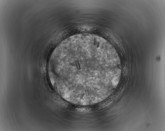 X0000098000561200804211134