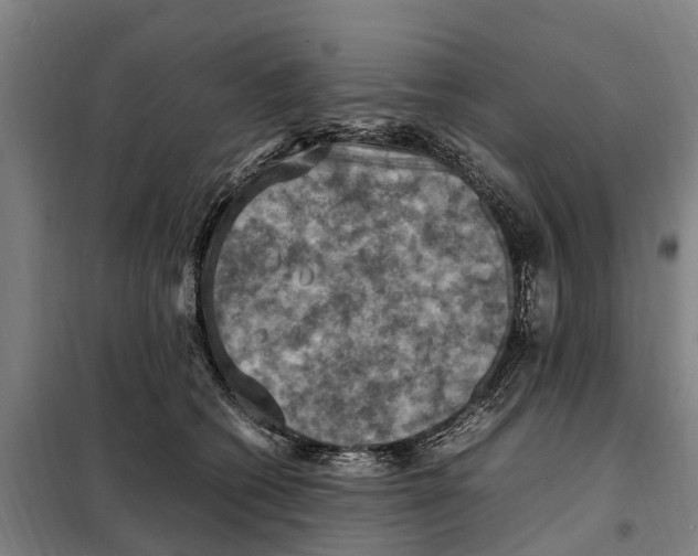 X0000098000562200804211134