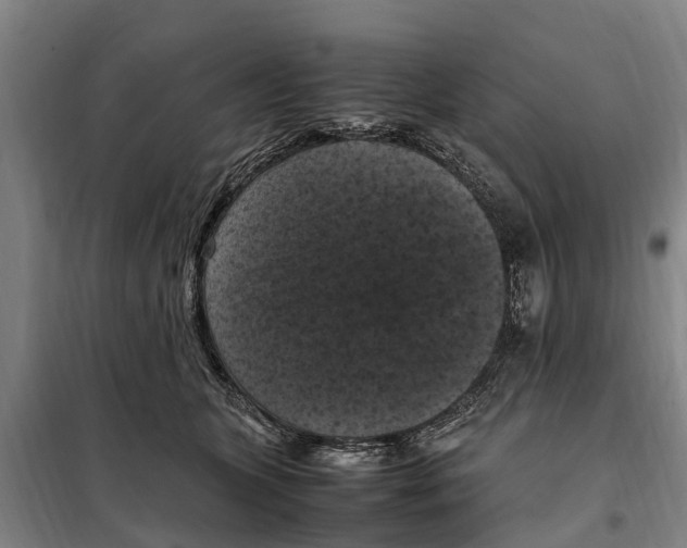 X0000098000563200804211134