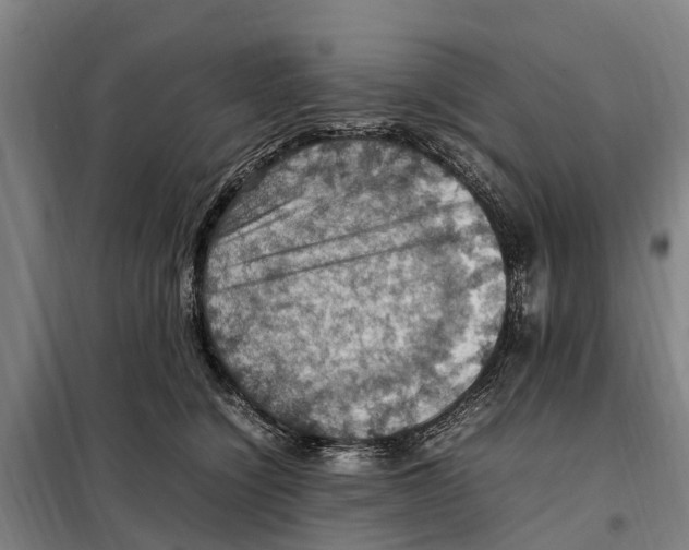 X0000098000564200804211134