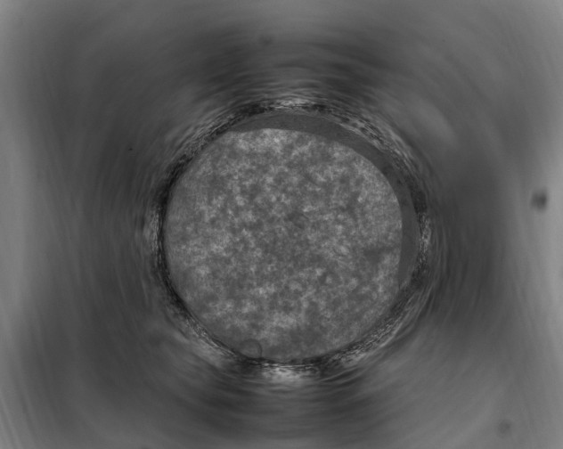 X0000098000565200804211134