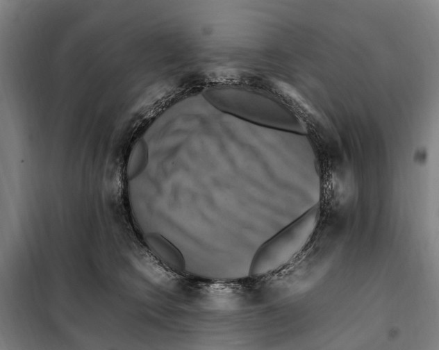 X0000098000566200804211134