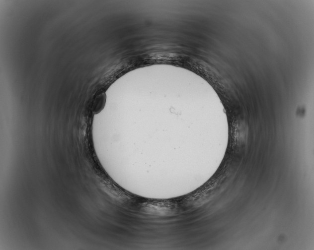 X0000098000567200804211134