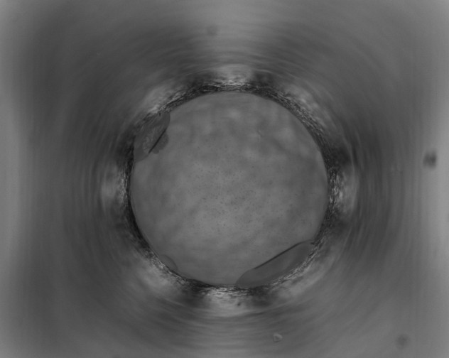 X0000098000568200804211134