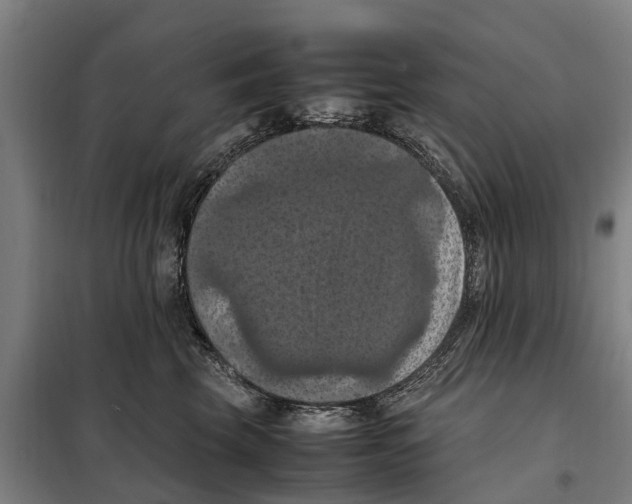 X0000098000569200804211134