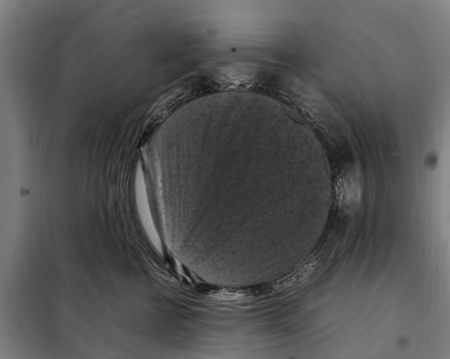 X0000098000570200804211134
