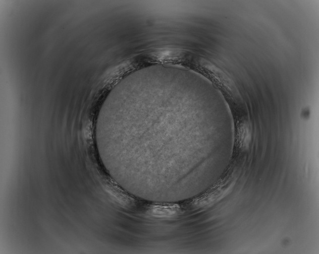 X0000098000571200804211134