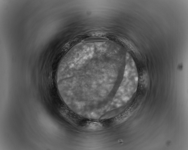 X0000098000572200804211134