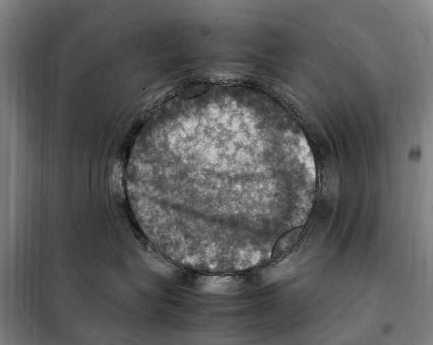 X0000098000575200804211134