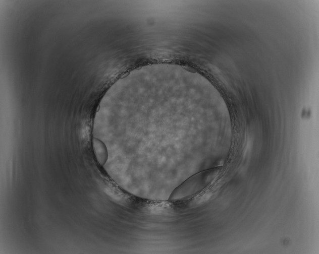 X0000098000576200804211134