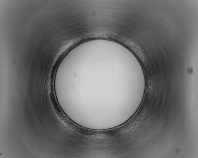 X0000098000578200804211134