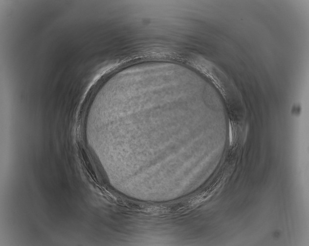 X0000098000579200804211134