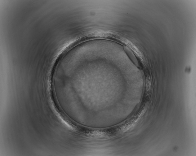 X0000098000581200804211134