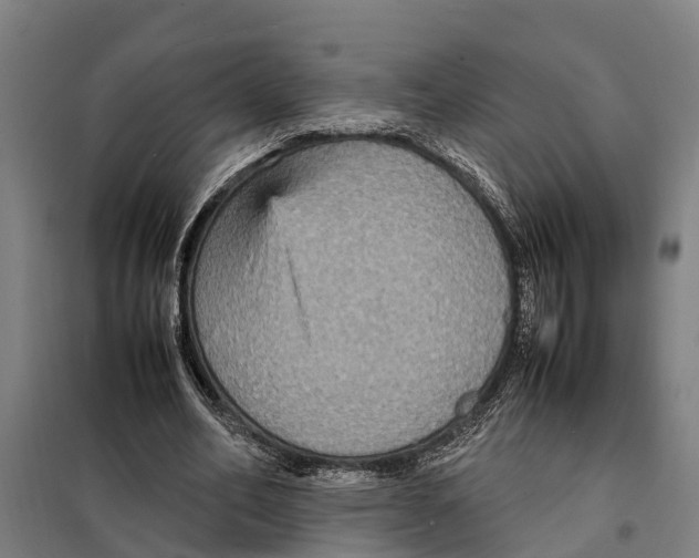 X0000098000582200804211134