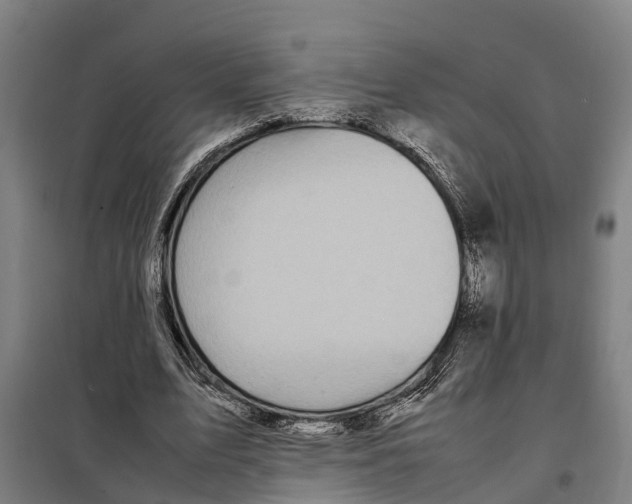 X0000098000583200804211134