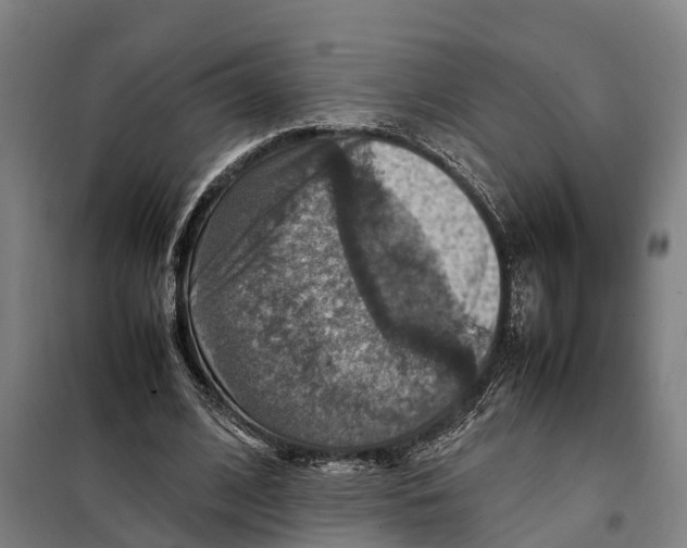X0000098000584200804211133