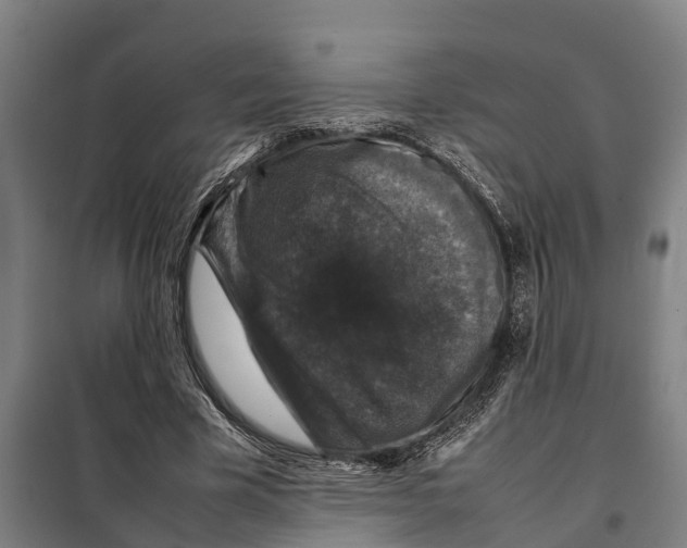 X0000098000585200804211133